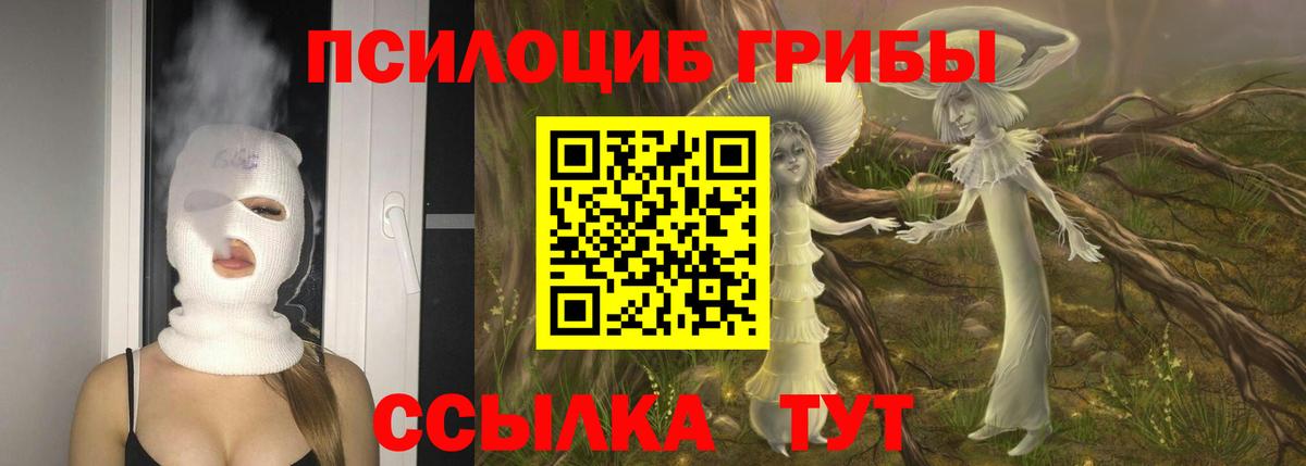 Похвистнево  Галлюциногенные грибы прущие грибы  Вход с VPN 