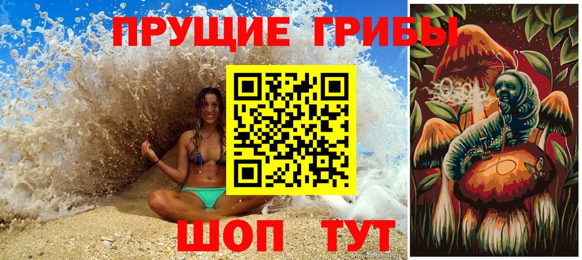 Псилоцибиновые грибы Psilocybe Похвистнево
