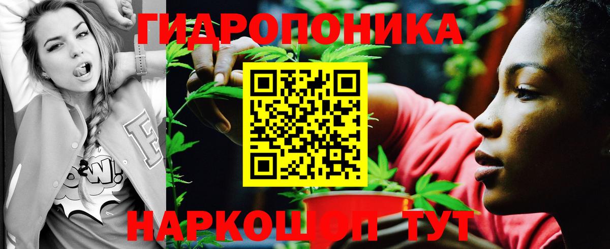 Бошки Шишки Amnesia  Вход с VPN  Похвистнево  Конопля индика  Марихуана Ganja 